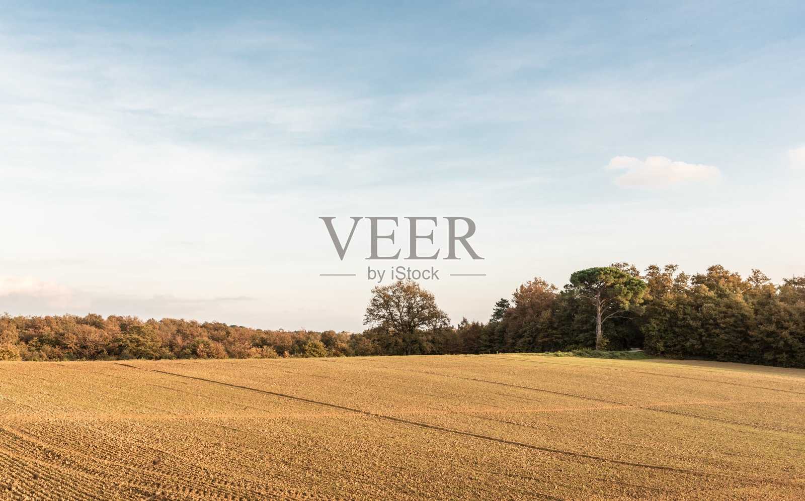 卢西尼亚诺战役照片摄影图片