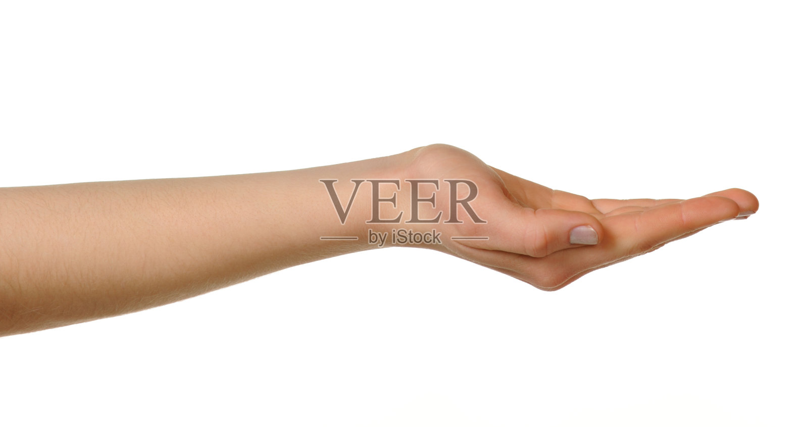 女性的手照片摄影图片