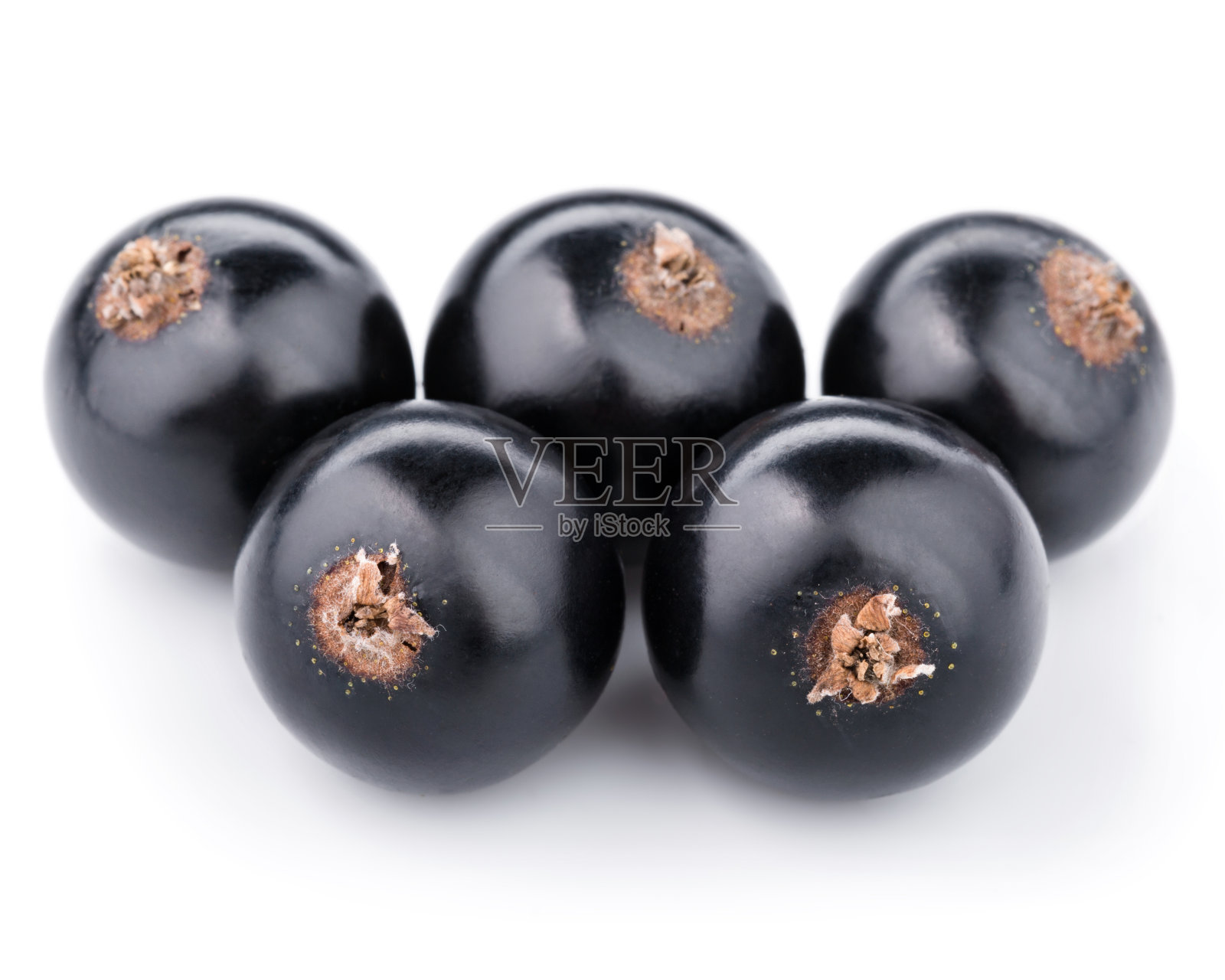 醋栗照片摄影图片