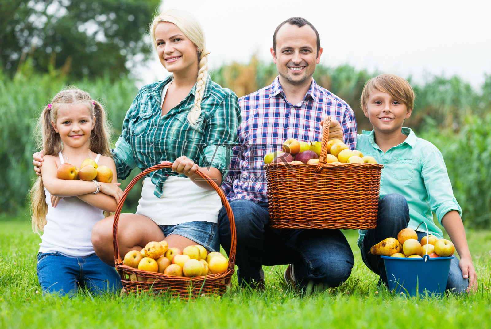 一个幸福的家庭拿着一个装满苹果的篮子照片摄影图片