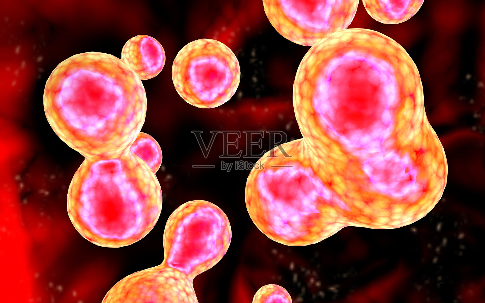 细胞通过渗透、有丝分裂和x射线分裂。照片摄影图片