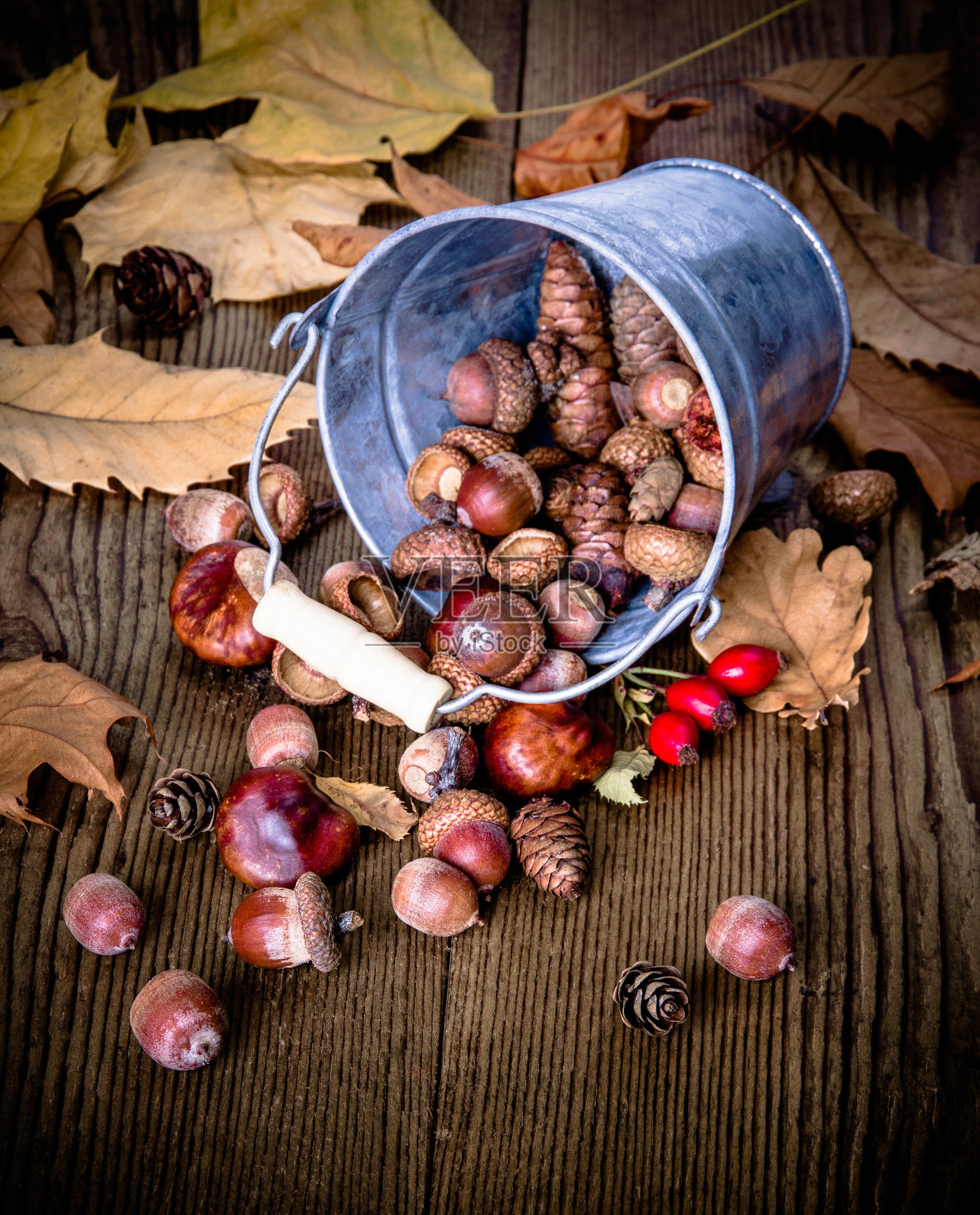 散落的玫瑰果,桶里的橡子照片摄影图片