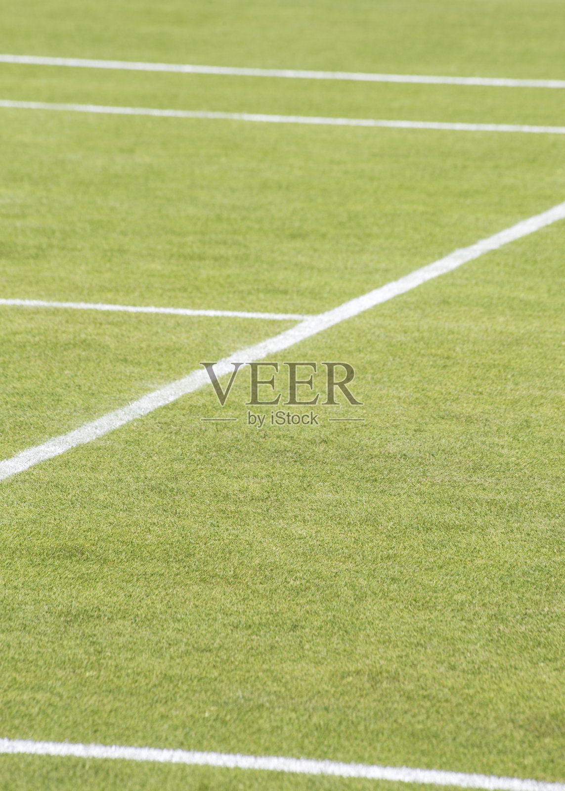 草地网球场照片摄影图片