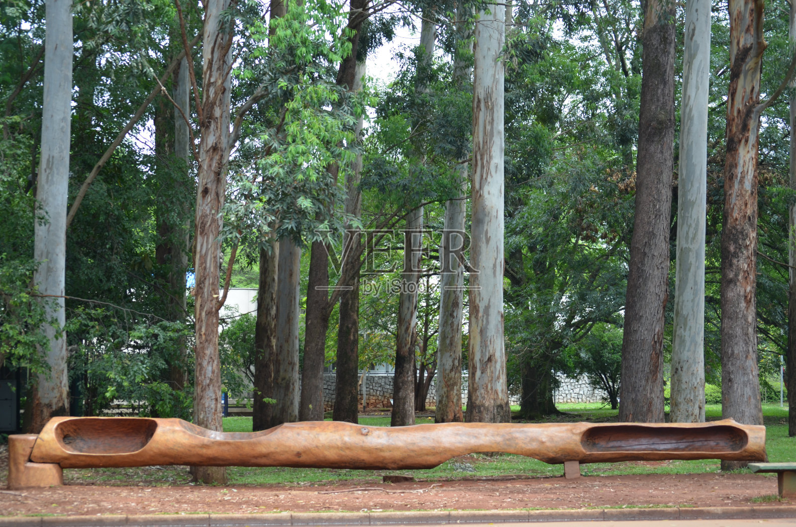 椅子是用树干做成的照片摄影图片