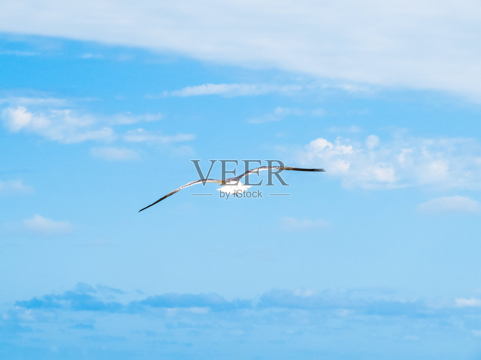 自由照片摄影图片