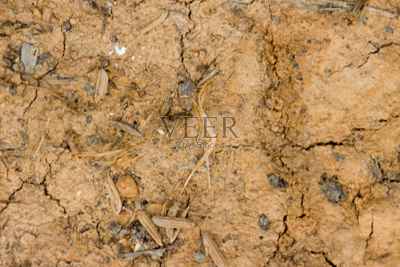 地面照片摄影图片