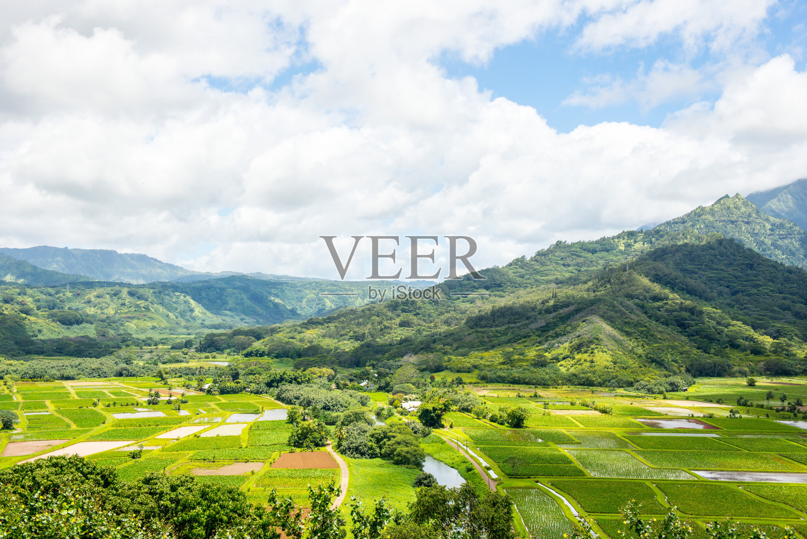 夏威夷考艾岛的哈纳莱伊瞭望台照片摄影图片