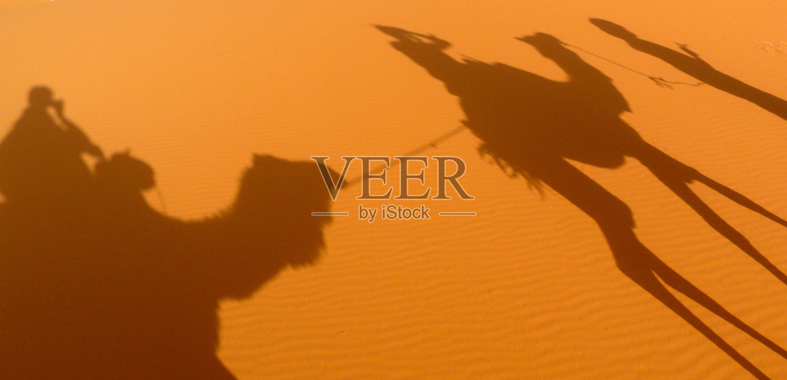 两个骆驼的影子投射在沙丘上照片摄影图片