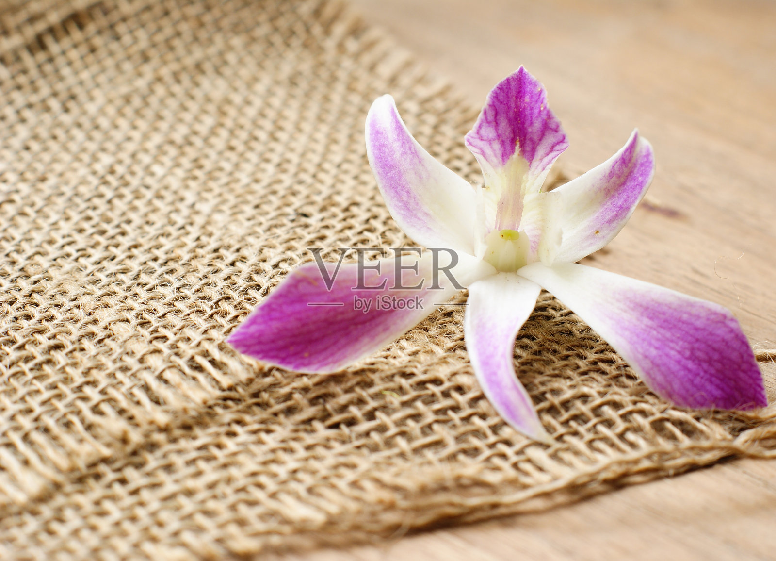 粗麻布,粗布纹理背景与兰花照片摄影图片