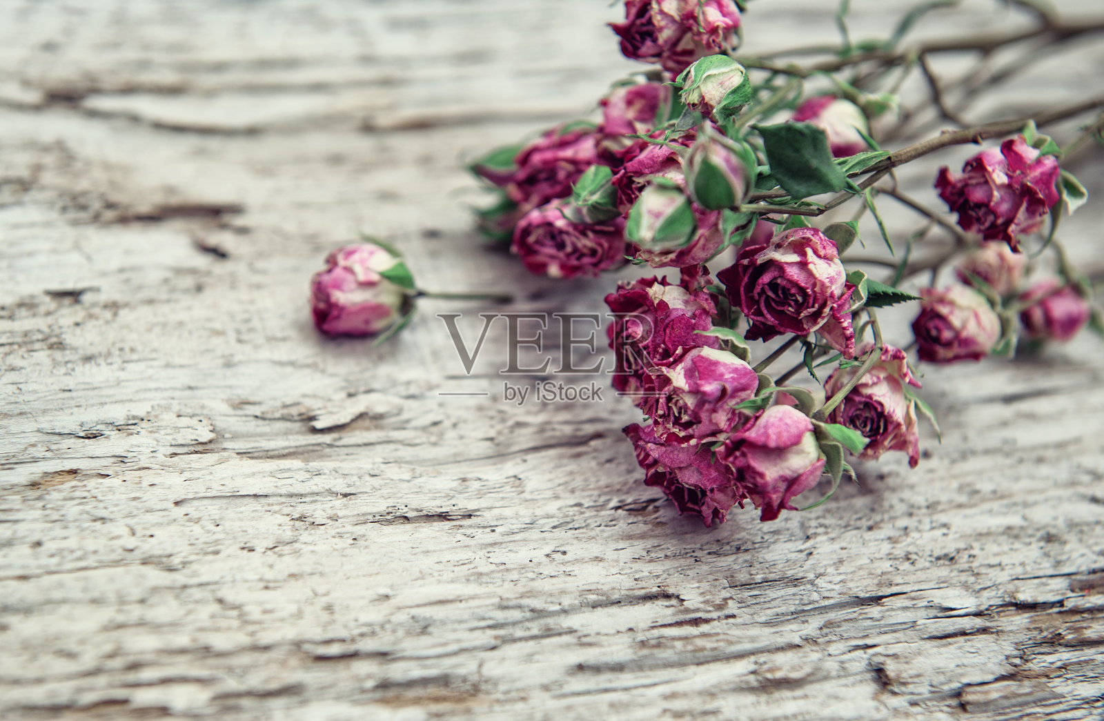 干燥的玫瑰花框架在旧的木制背景照片摄影图片