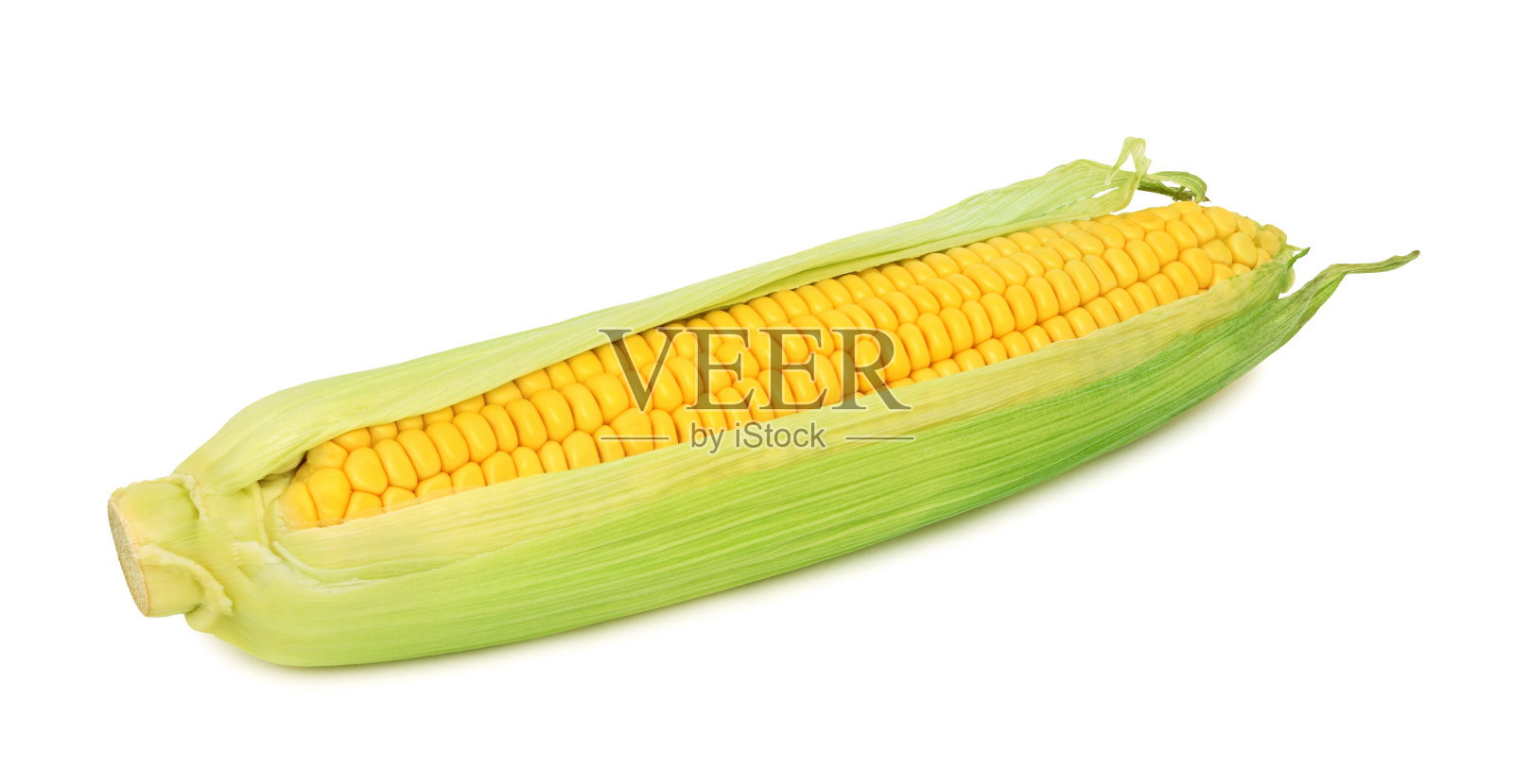 一根生玉米棒,带绿叶(单独)照片摄影图片