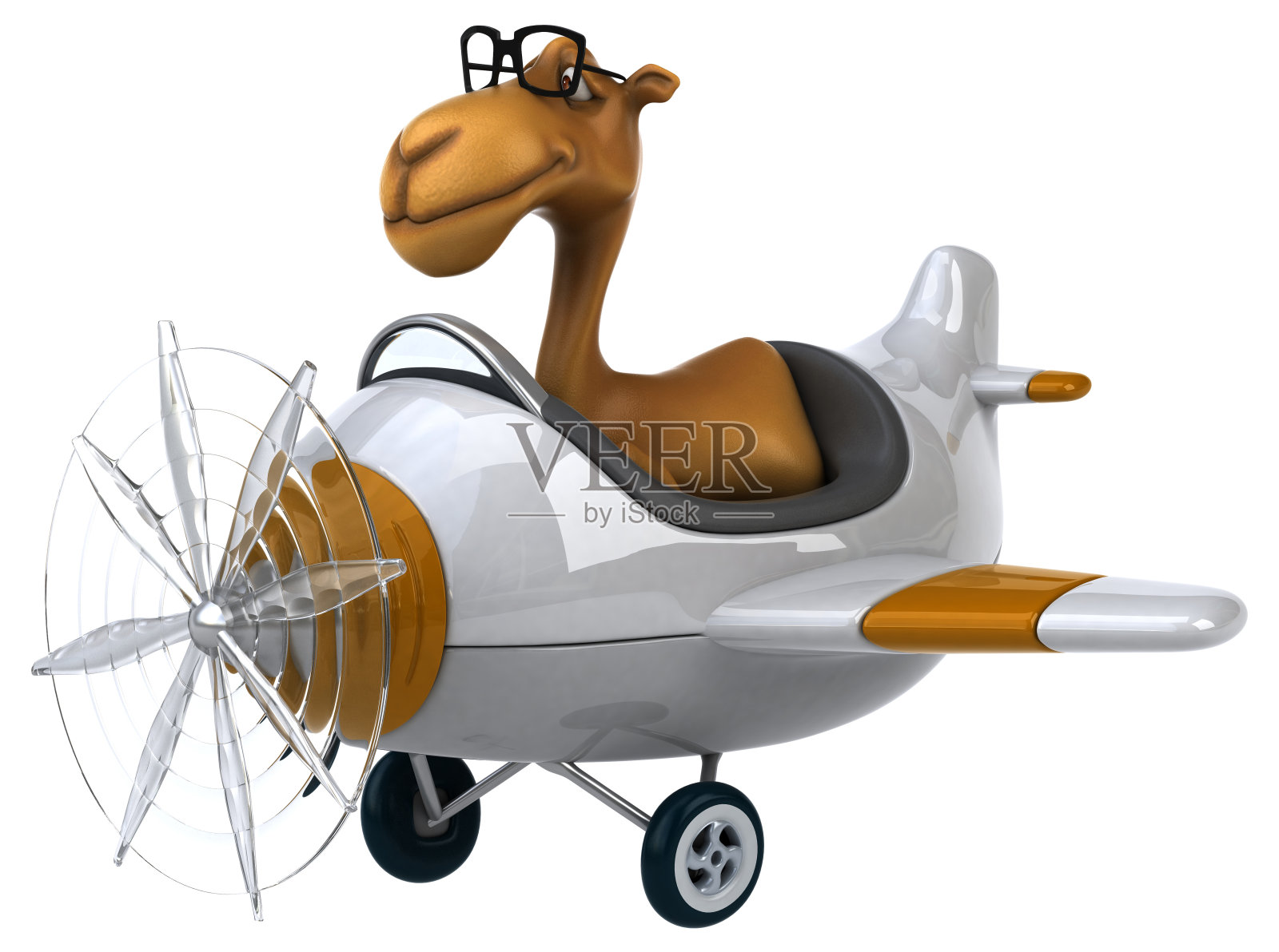 有趣的骆驼照片摄影图片