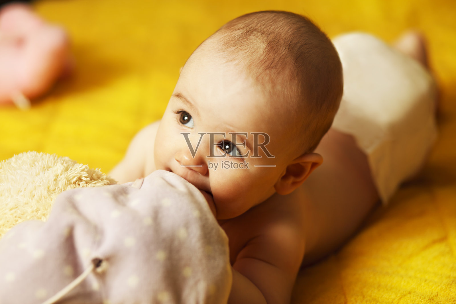 可爱的宝宝照片摄影图片