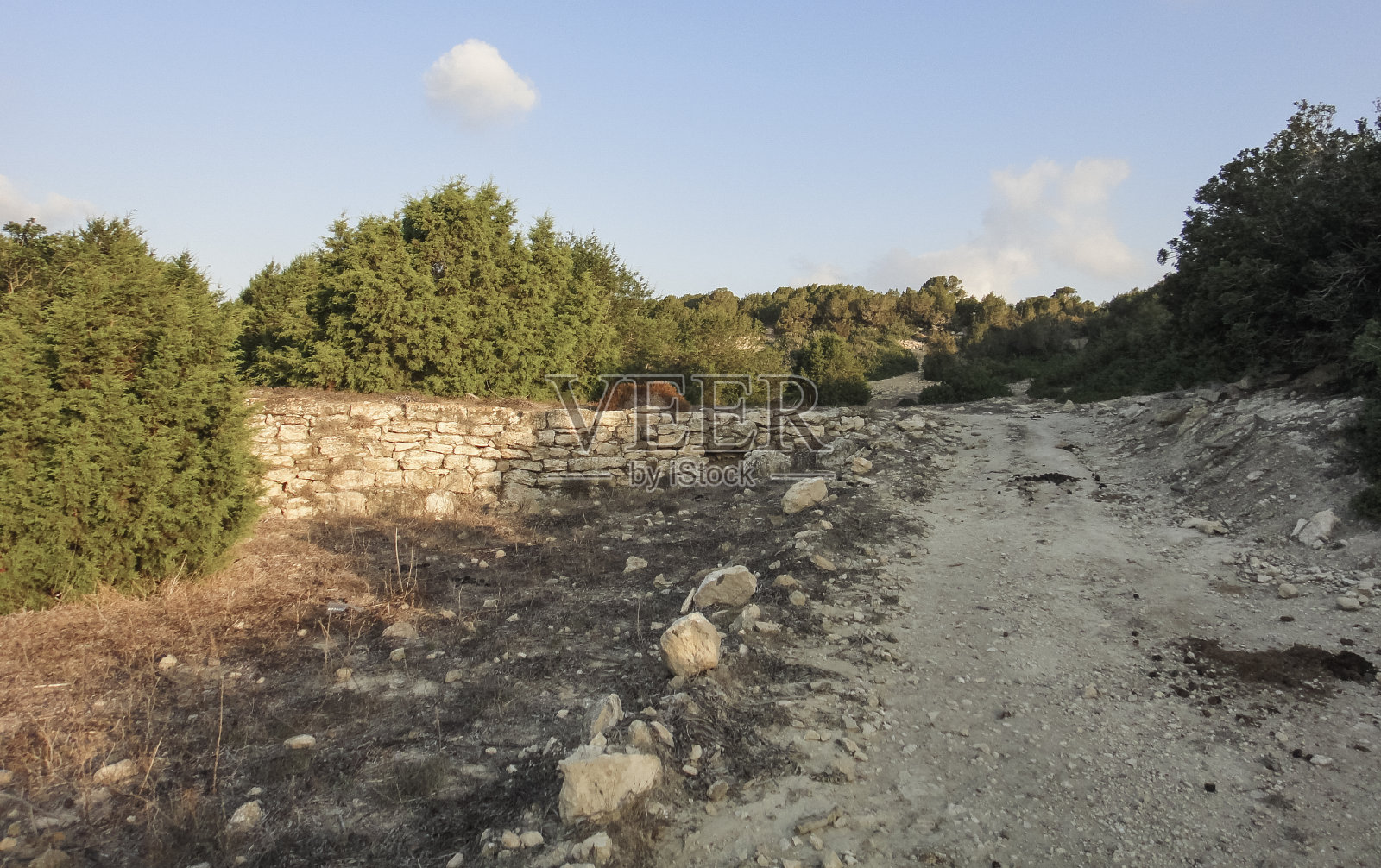 卡尔帕斯半岛自然(卡尔帕斯、迪普卡尔帕斯、里佐卡尔帕索、卡尔帕西亚)。北塞浦路斯照片摄影图片