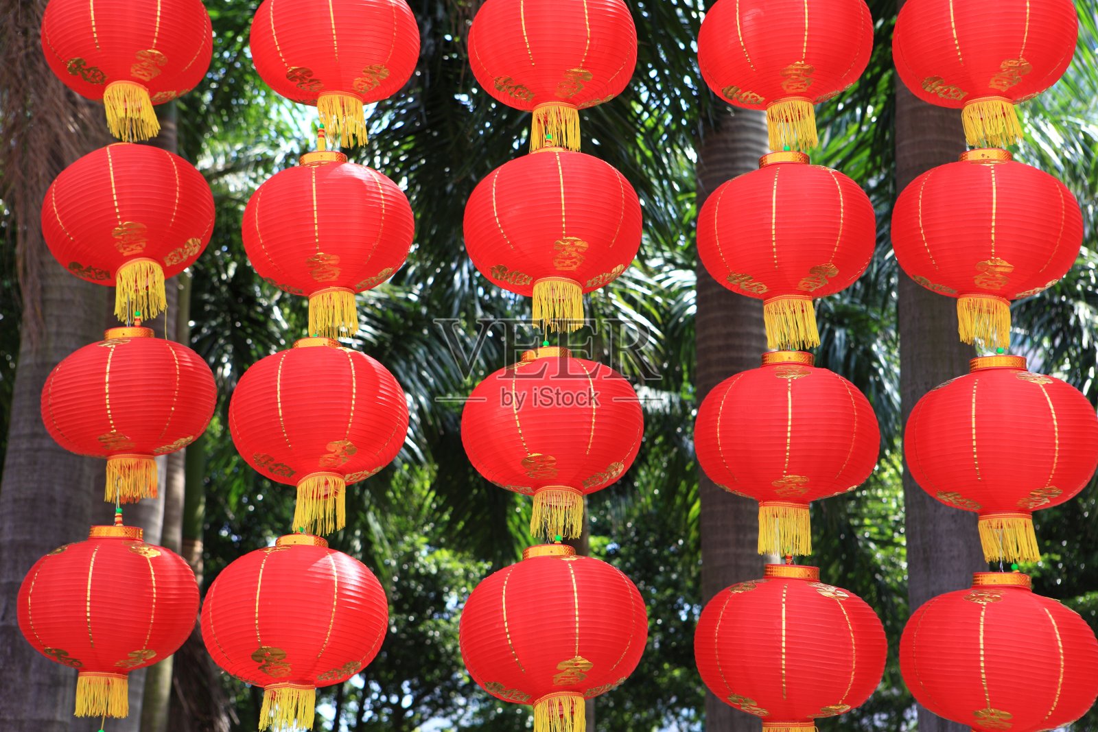 大红灯笼高高挂照片摄影图片