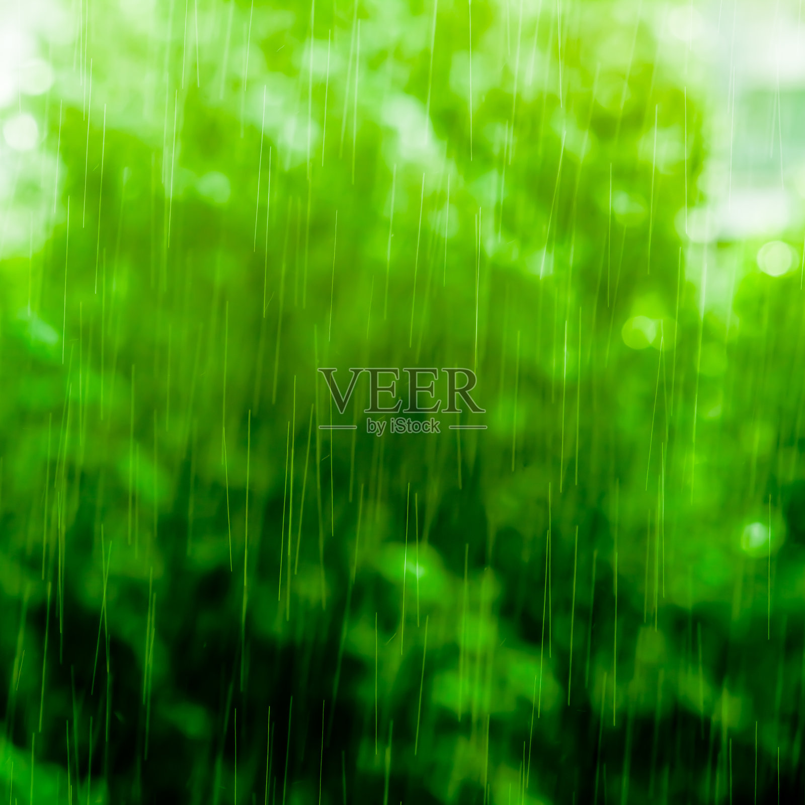 雨照片摄影图片