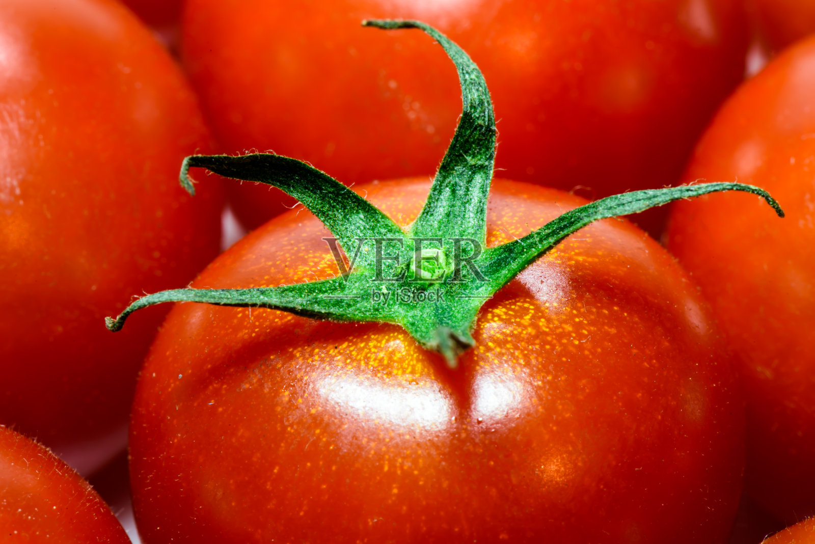 一组鲜红的西红柿照片摄影图片