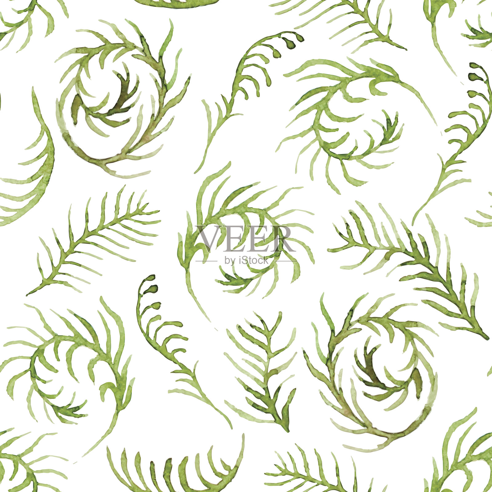 无缝矢量模式与水彩蕨类插画图片素材