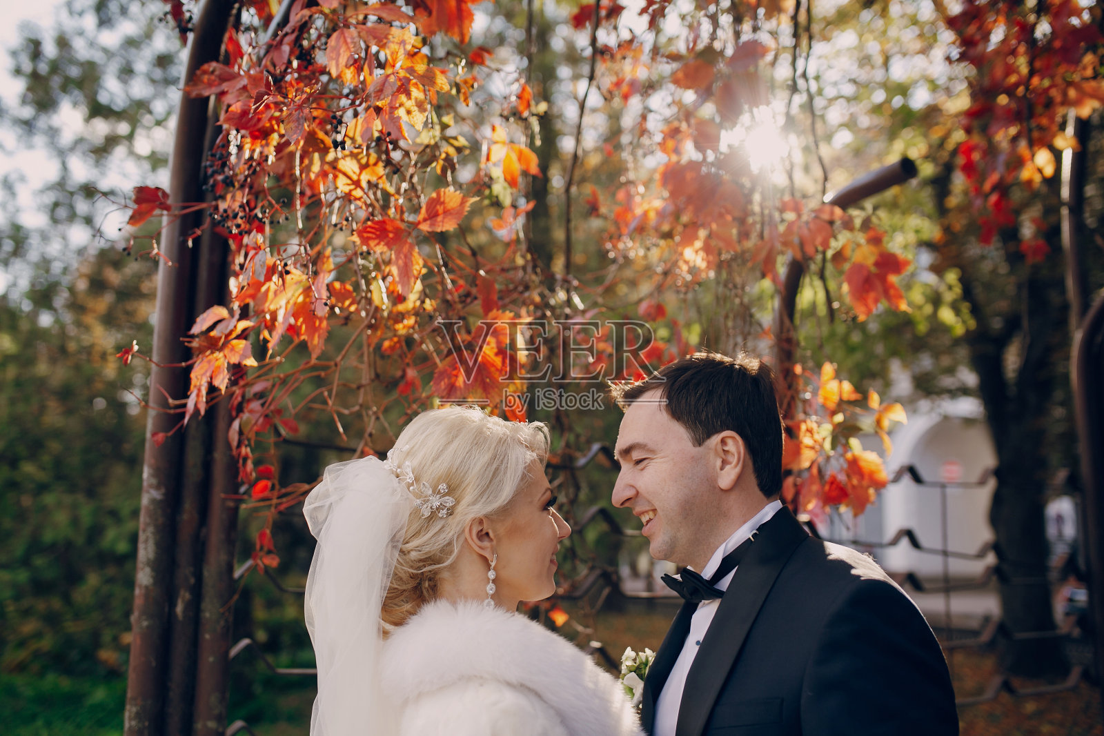 森林和城市里的一对夫妇照片摄影图片