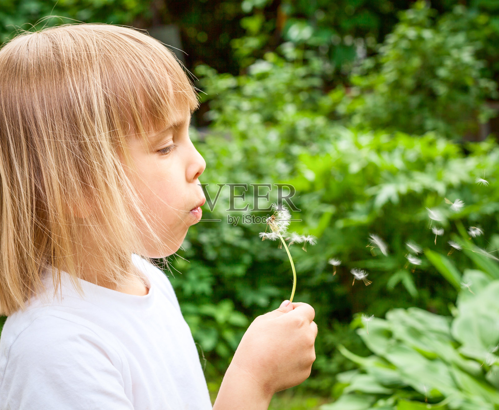 女孩吹蒲公英照片摄影图片
