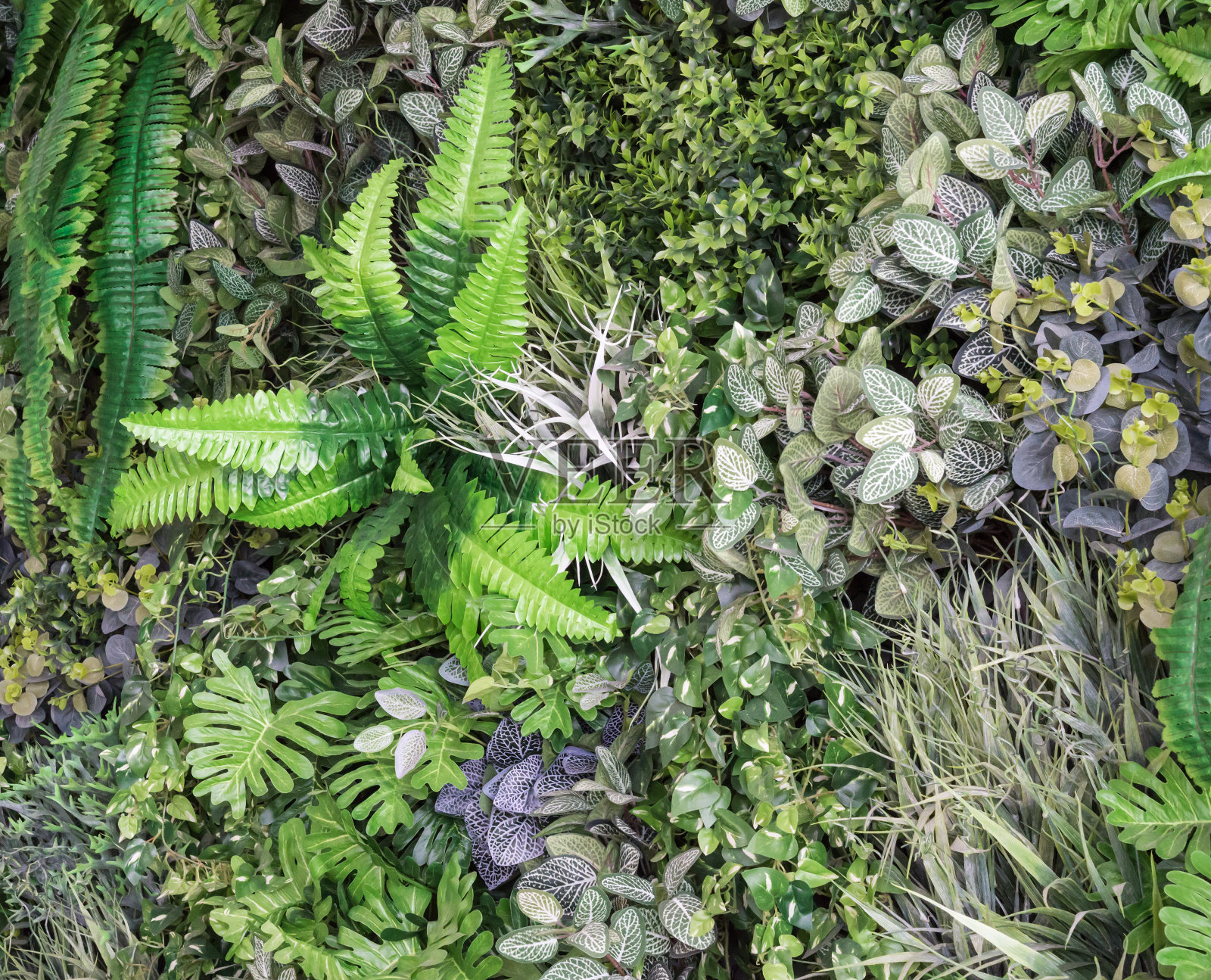 人工植物照片摄影图片