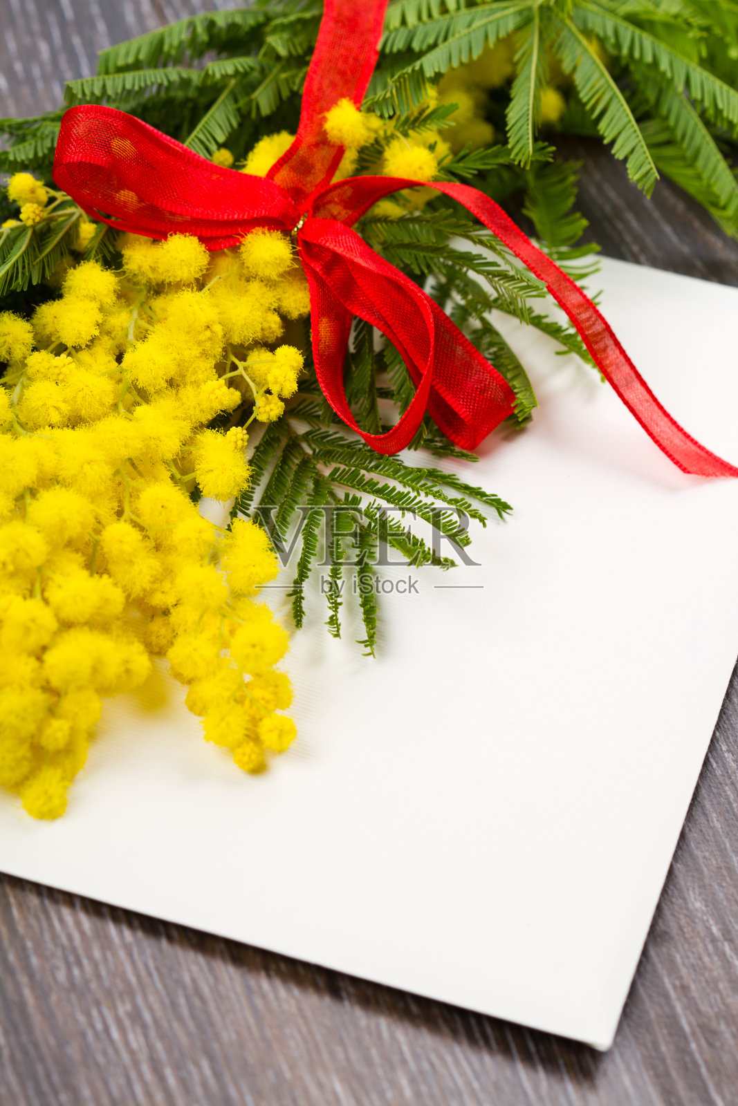 含羞草,妇女节照片摄影图片