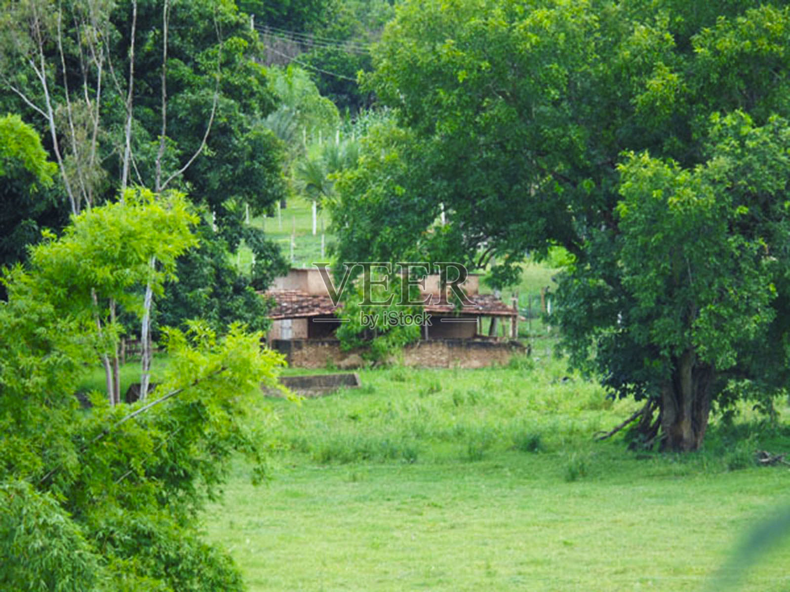 老房子照片摄影图片