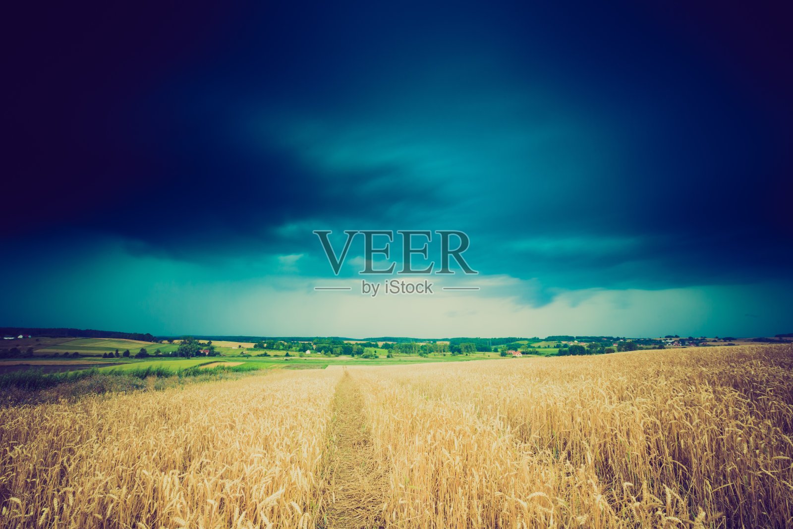 麦田上空暴风云的古老照片照片摄影图片