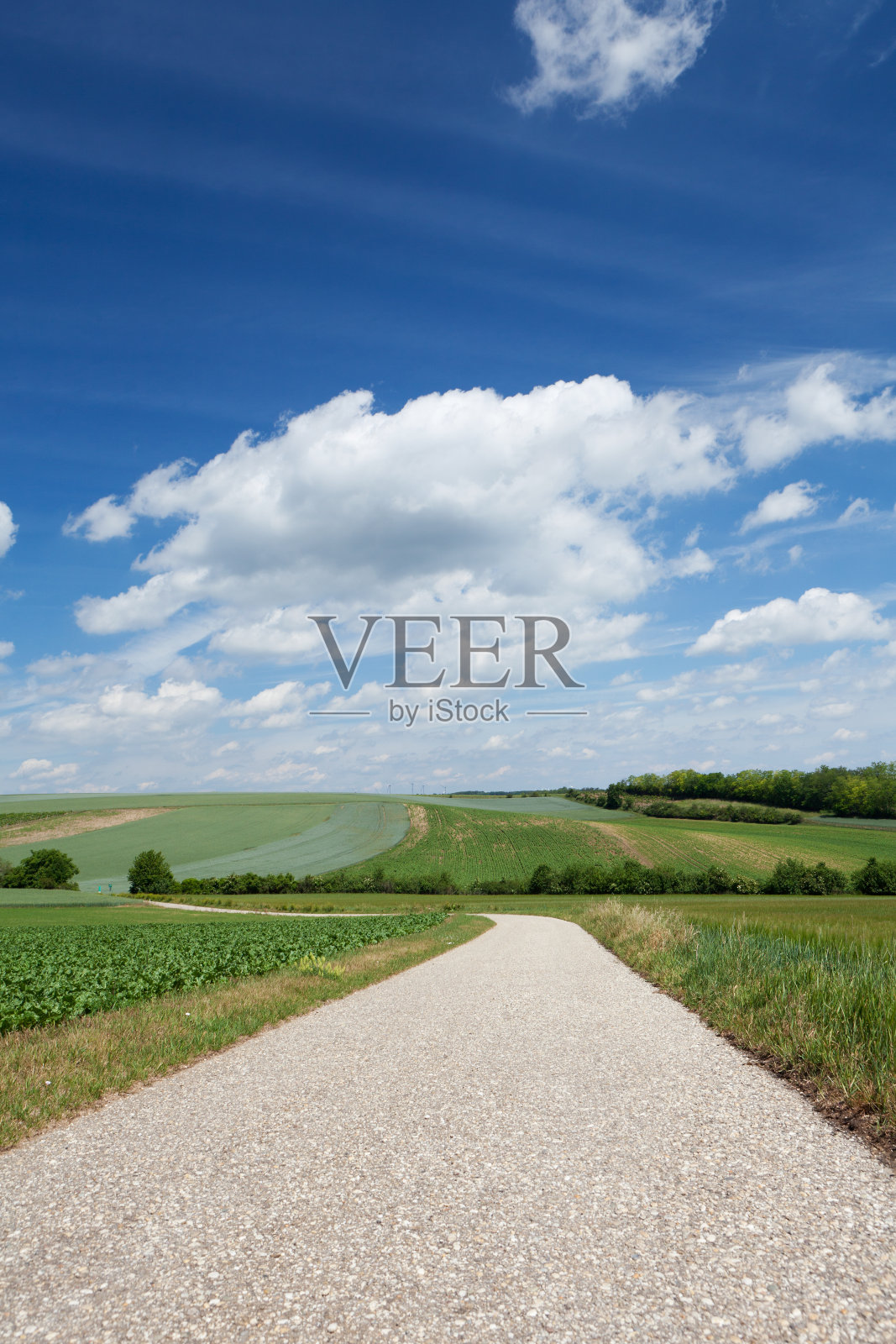 乡间小路照片摄影图片