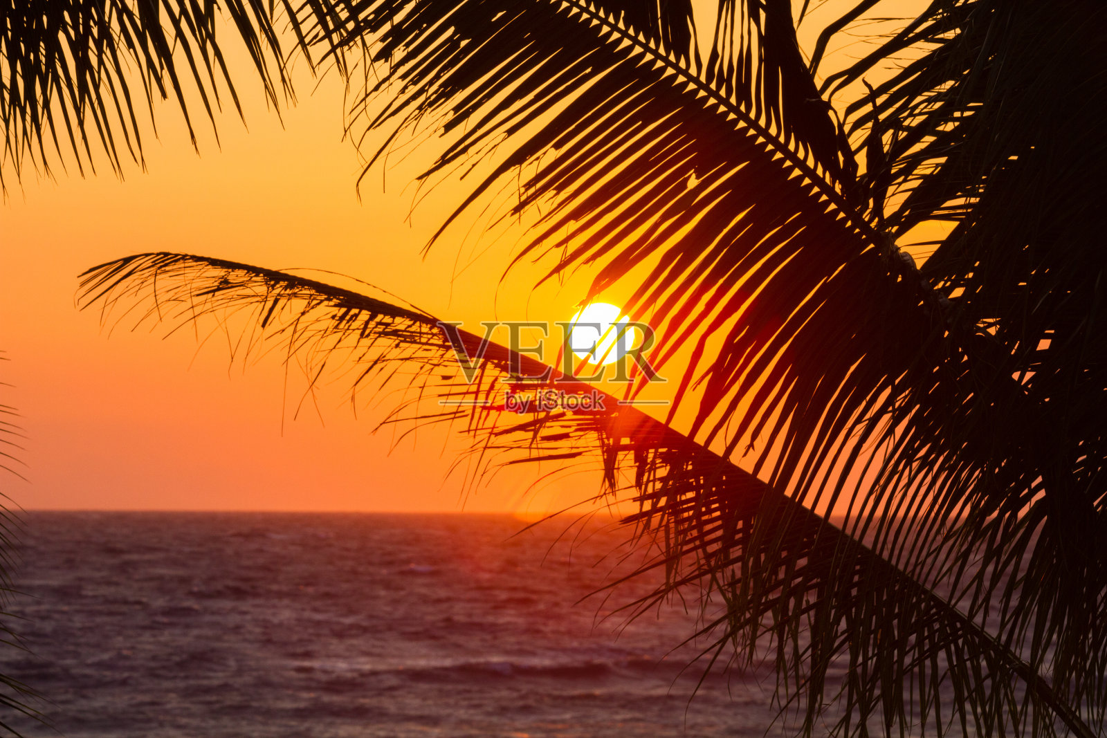 橙色的日落照片摄影图片