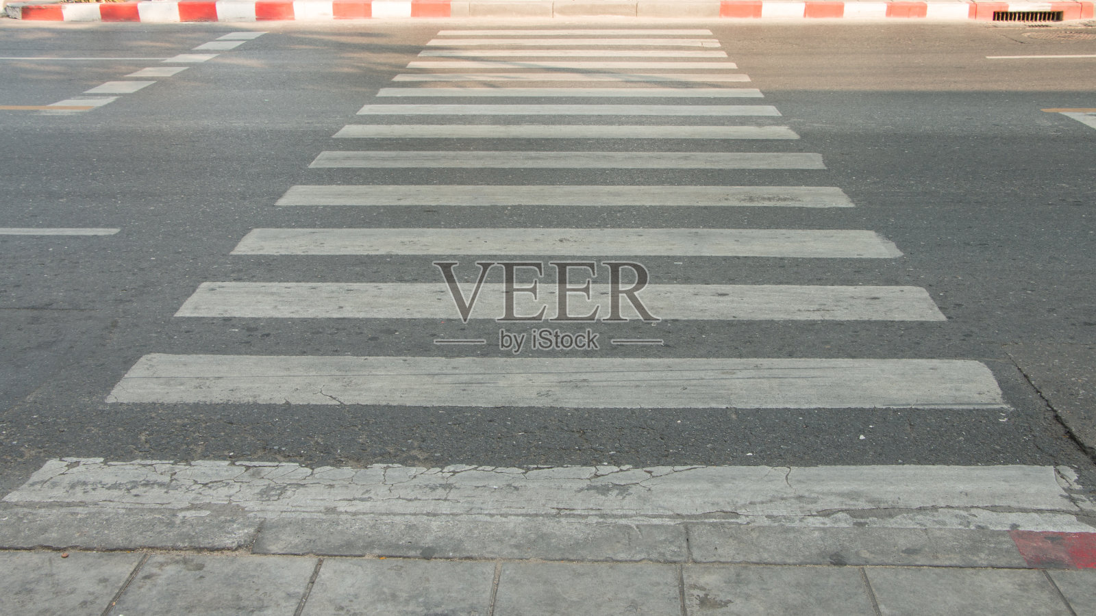 Zeebra穿越照片摄影图片