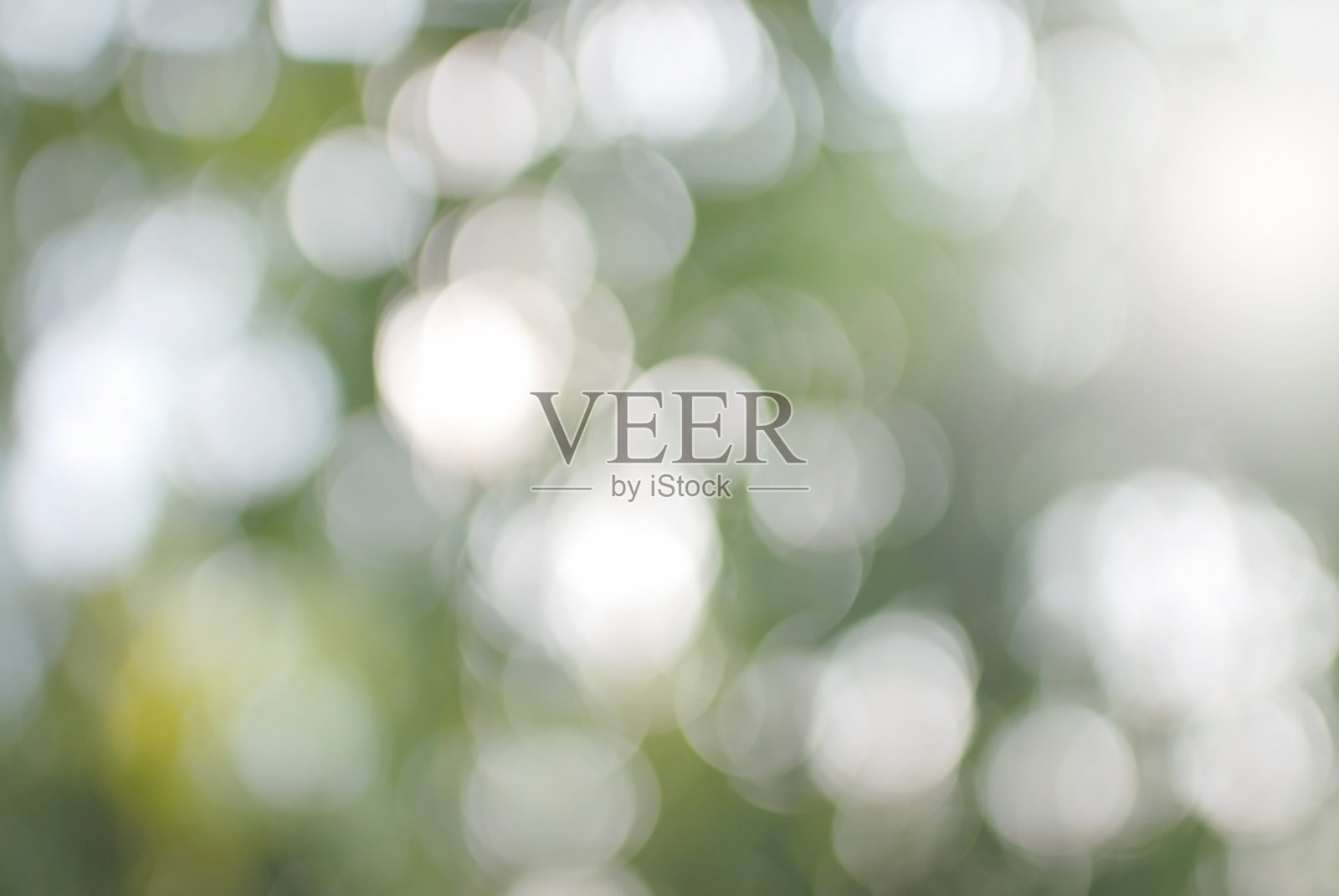 绿叶散景照片摄影图片