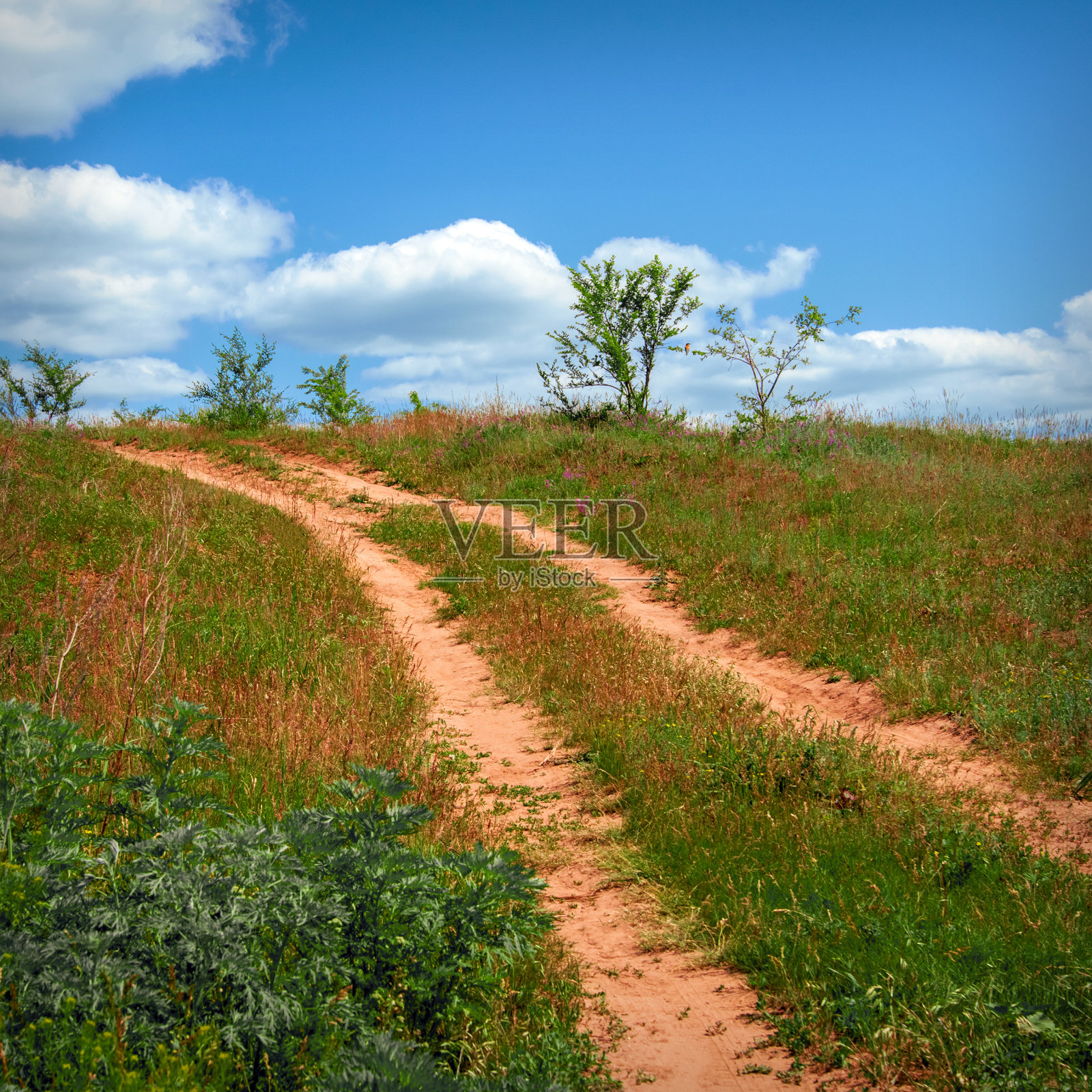 阳光明媚的乡村小路照片摄影图片