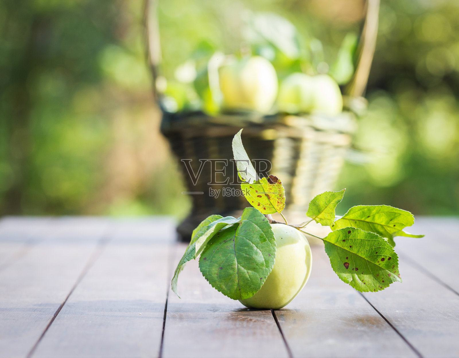 户外新鲜苹果作物照片摄影图片
