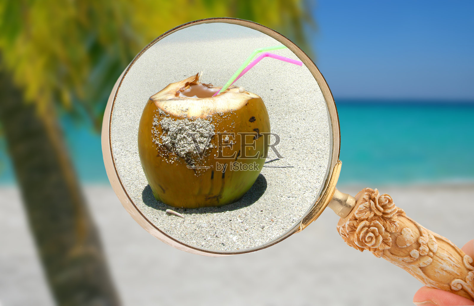 专注于热带饮料照片摄影图片