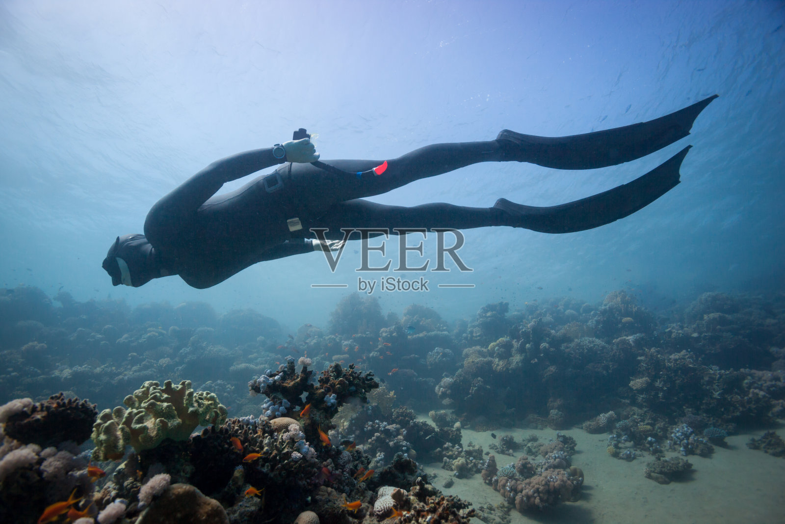 沿着珊瑚礁在水下游泳的自由潜水员照片摄影图片