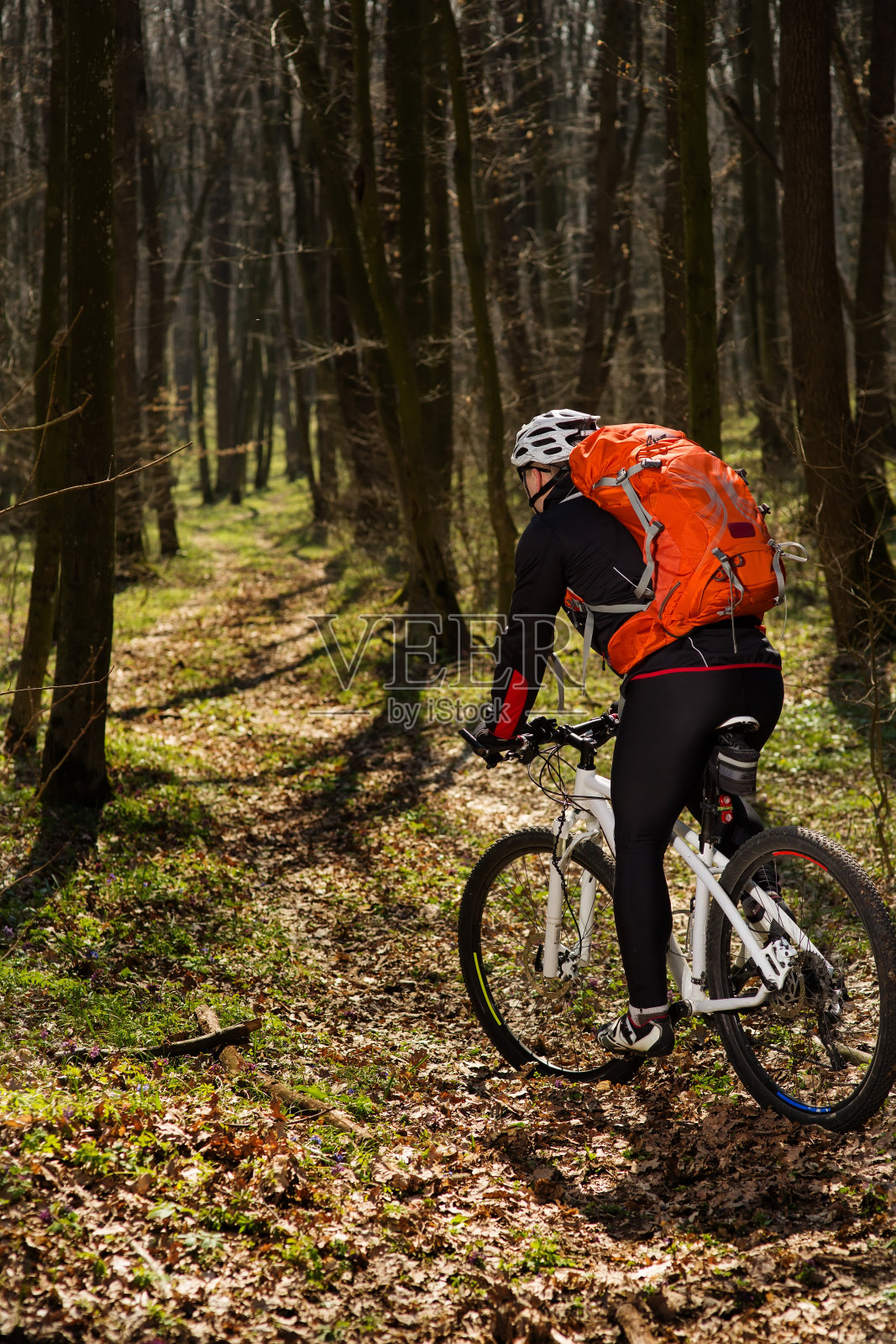 骑自行车的人在夏季森林的小路上骑自行车照片摄影图片