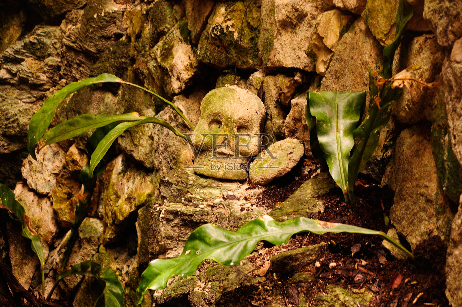 死亡居住的地方照片摄影图片