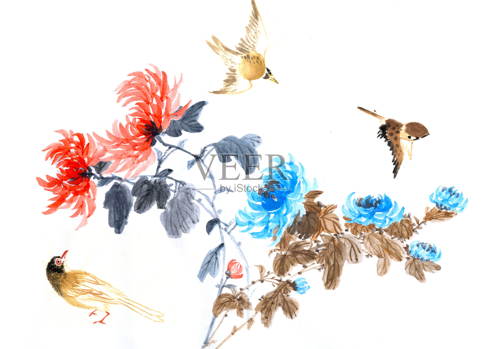 菊花和动物插画图片素材