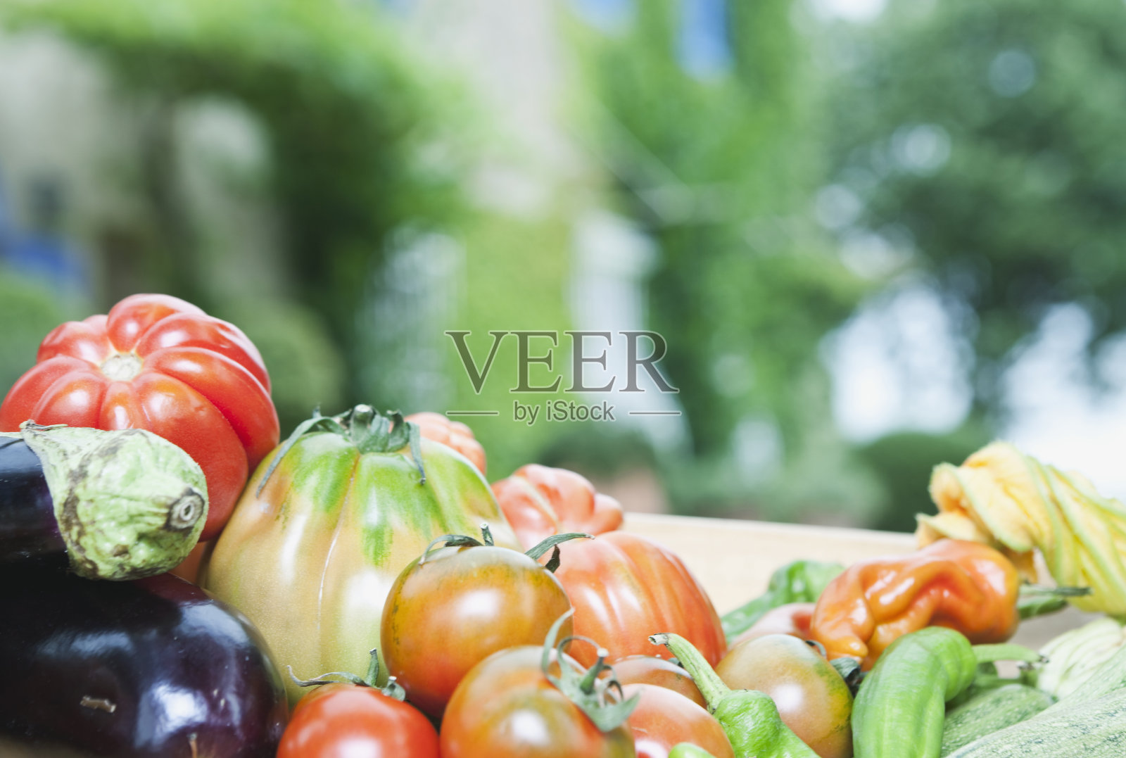 意大利,托斯卡纳,马格利亚诺,各种蔬菜的特写照片摄影图片