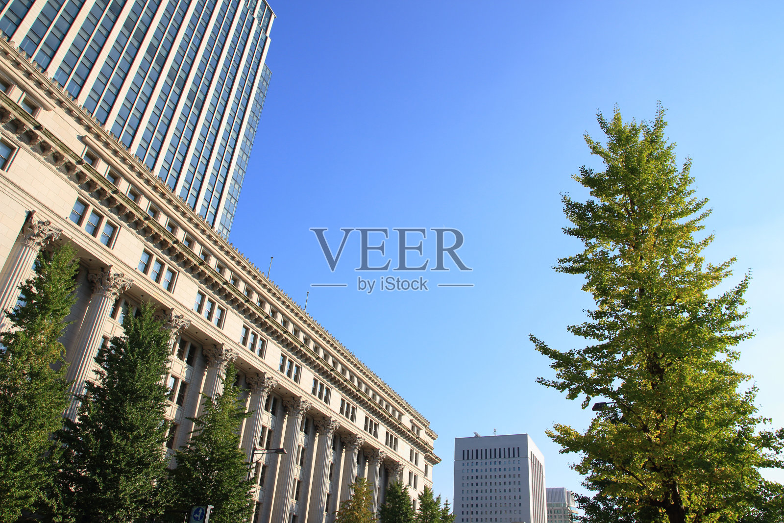 明治世美菅直人照片摄影图片