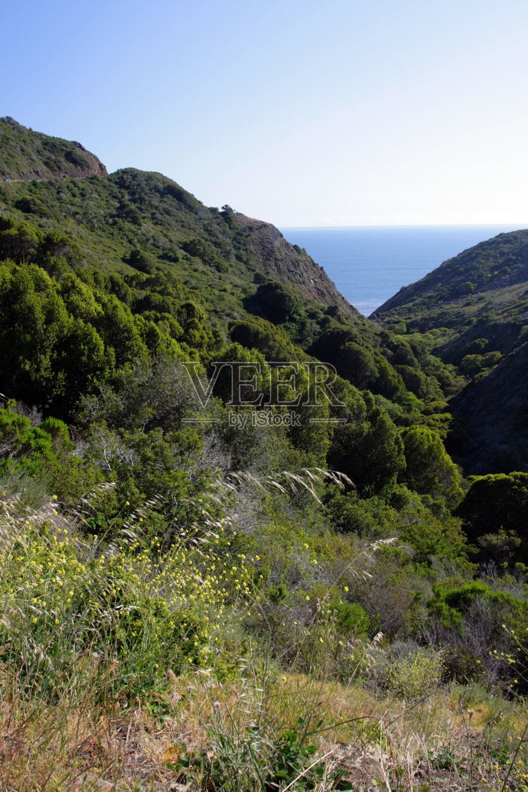 加州中央海岸,大苏尔,美国照片摄影图片