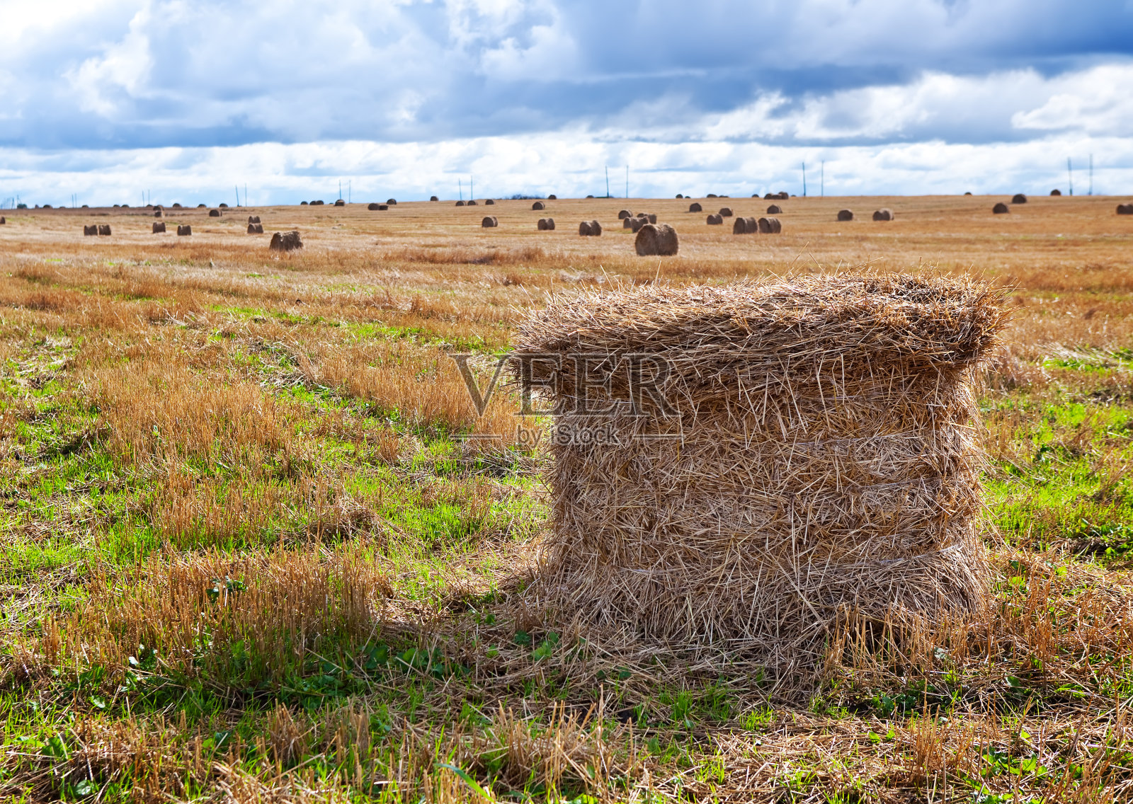 堆叠在现场照片摄影图片