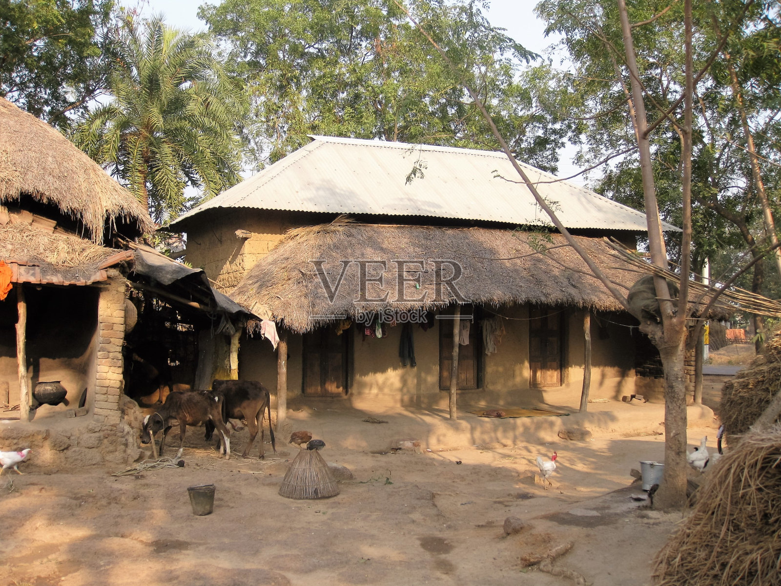 村庄的场景照片摄影图片