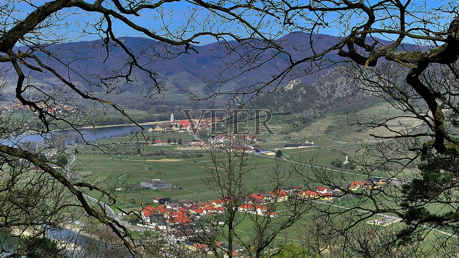 红色小兔照片摄影图片