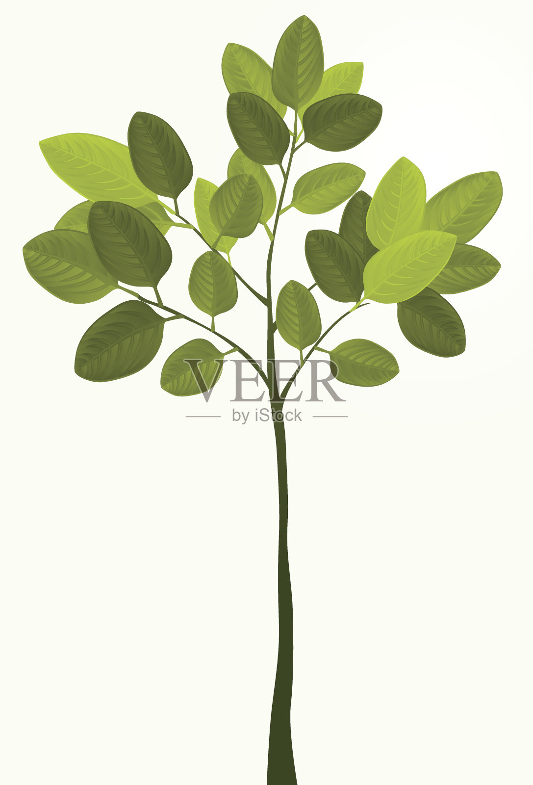 树设计元素图片