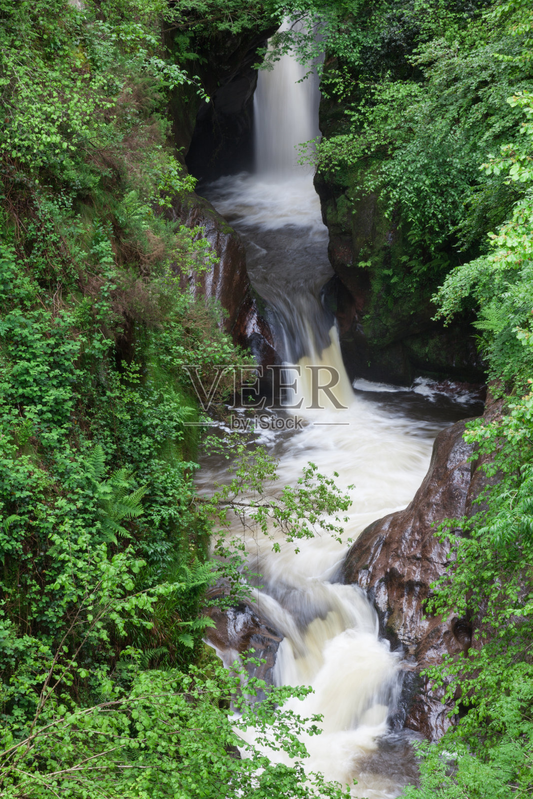 植被之间的瀑布照片摄影图片
