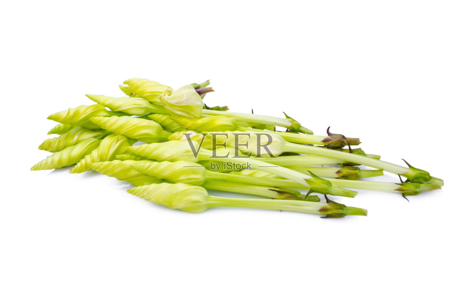 番石榴白色的背景照片摄影图片