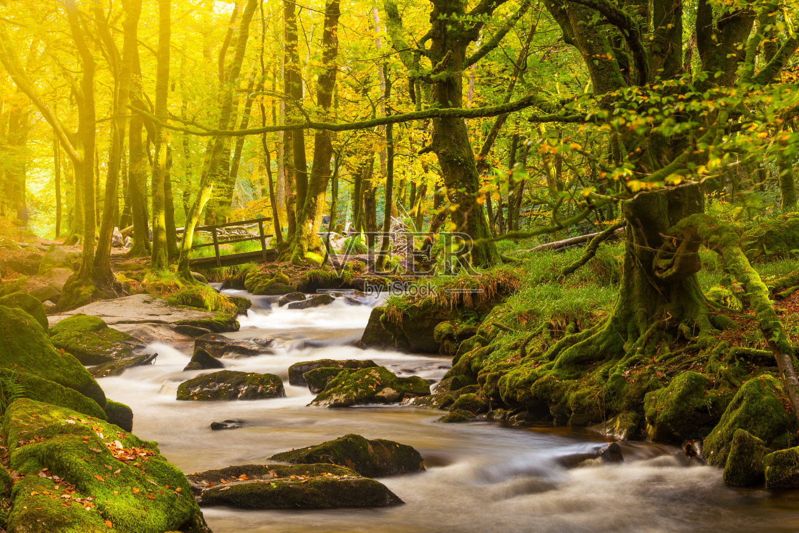 康沃尔Golitha瀑布照片摄影图片