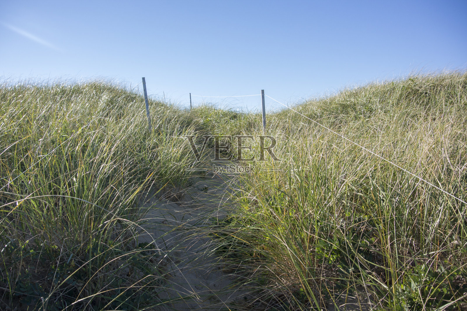 大岛长满草的沙丘路径照片摄影图片